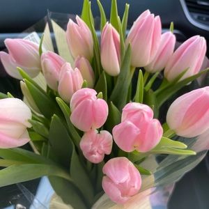 Meet your Posher, Madeline